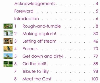 Contents